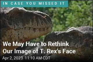 T. Rex Had Lizard Lips Concealing Its Fangs