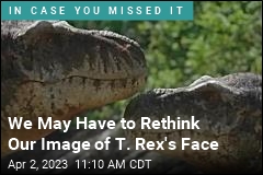 T. rex may have had lips like a modern lizard's