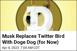 Musk Replaces (for Now) Twitter Bird With Doge Dog