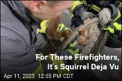 For These Firefighters, It&#39;s Squirrel Deja Vu