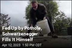 Fed Up by Pothole, Schwarzenegger Fills It Himself