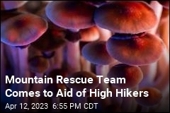 Rescuers Called to Help Hikers on Magic Mushrooms