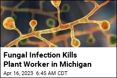 Rare Fungal Infection Kills Paper Mill Worker in Michigan