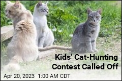 Kids&#39; Cat-Hunting Contest Canceled in NZ