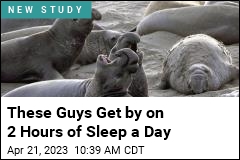These Guys Get by on 2 Hours of Sleep a Day