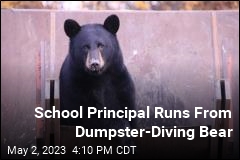 Dumpster-Diving Bear Terrifies School Principal