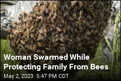 Woman Swarmed While Protecting Family From Bees