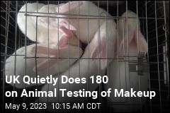 Animal Testing of Makeup Revived Decades After UK Ban