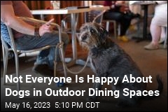 Not Everyone Is Happy About Dogs in Outdoor Dining Spaces