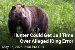 Hunter Faces Jail for Killing Grizzly, Allegedly By Mistake