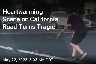 Heartwarming Scene on California Road Turns Tragic