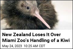 Miami Zoo Let You Pet Its Kiwi. New Zealand Freaked Out