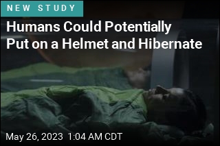 Humans Could Potentially Put on a Helmet and Hibernate