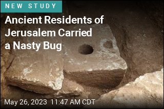 Toilets in Ancient Jerusalem Reveal Nasty Parasites