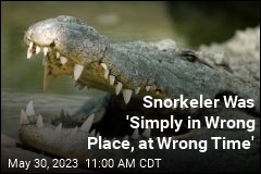 Croc Grabbed Snorkeler, Realized He &#39;Was Too Big to Handle&#39;
