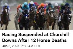 Racing Suspended at Churchill Downs After 12 Horse Deaths