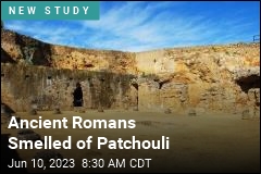 Ancient Romans Smelled of Patchouli