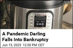 A Pandemic Darling Falls Into Bankruptcy