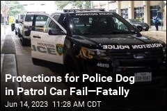 Protections for Police Dog in Patrol Car Fail&mdash;Fatally