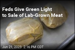 Feds Approve America&#39;s First Lab-Grown Meat