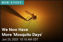 If Mosquito Season Feels Longer, That&#39;s Because It Is