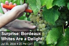 Surprise: Bordeaux Whites Are a Delight