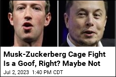 Musk-Zuckerberg Cage Match Is a Goof, Right? Maybe Not