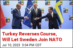 Turkey Reverses Course, Will Let Sweden Join NATO