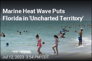 Marine Heat Wave Puts Florida in &#39;Uncharted Territory&#39;