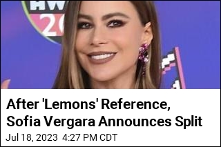 After &#39;Lemons&#39; Reference, Sofia Vergara Announces Split