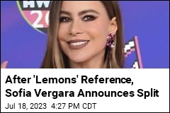 After &#39;Lemons&#39; Reference, Sofia Vergara Announces Split