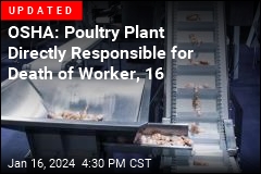 Boy, 16, Killed in Accident at Mississippi Poultry Plant