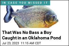 That Was No Bass a Boy Caught in an Oklahoma Pond