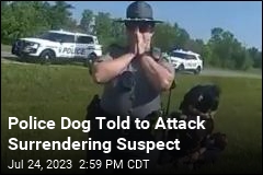 Police Dog Told to Attack Surrendering Suspect