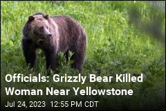 Woman Killed in Apparent Bear Attack Near Yellowstone