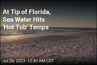 Sea Water at Tip of Florida Hits &#39;Hot Tub Level&#39;