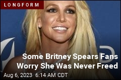 The &#39;Free Britney&#39; Movement Is Over, Right? Not So Much