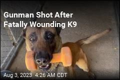 Gunman Shot After Killing San Diego Police Dog
