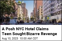 A Posh NYC Hotel Claims Teen Sought Bizarre Revenge