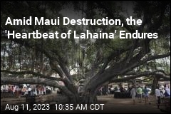 In Midst of Maui Destruction, a Historic Landmark Endures