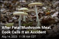 Cook in Fatal Mushroom Meal: It Was an Accident