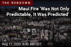 Maui Fire &#39;Was Not Only Predictable, It Was Predicted&#39;