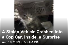 A Stolen Vehicle Crashed Into a Cop Car. Inside, a Surprise