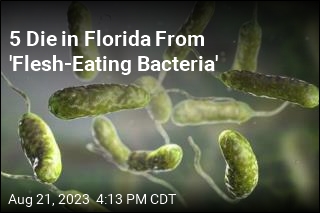 &#39;Flesh-Eating Bacteria&#39; Kills 5 in Florida