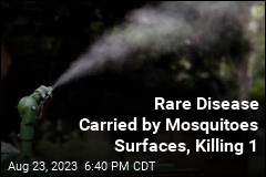 Rare Disease Carried by Mosquitoes Surfaces, Killing 1