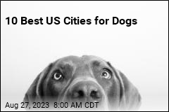 10 Best US Cities for Dogs