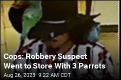 Cops: Robbery Suspect Went to Store With 3 Parrots