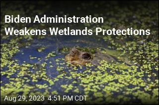 Biden Administration Weakens Wetlands Protections