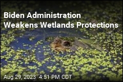 Biden Administration Weakens Wetlands Protections