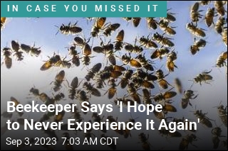 Beekeeper Says &#39;I Hope to Never Experience It Again&#39;
